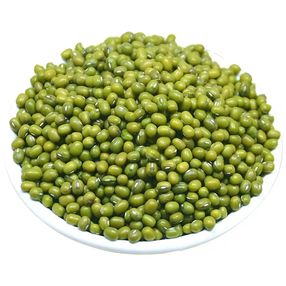 High Quality Cheap Green Mung Beans for Sale