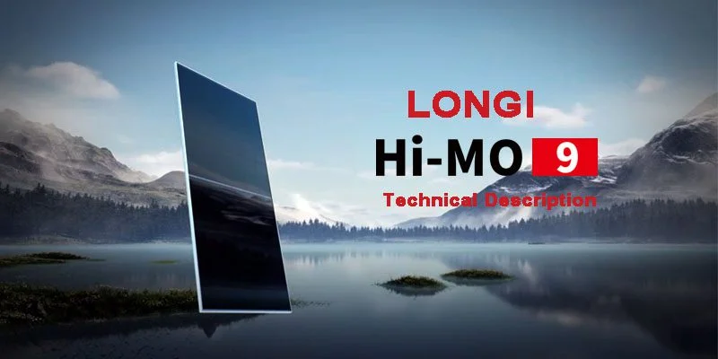 Longi Hi-Mo 9 Bifacial Solar Panel Prices Half Cells 625-660W Dual Glass Solar Panels With Tuv/Ce Certification