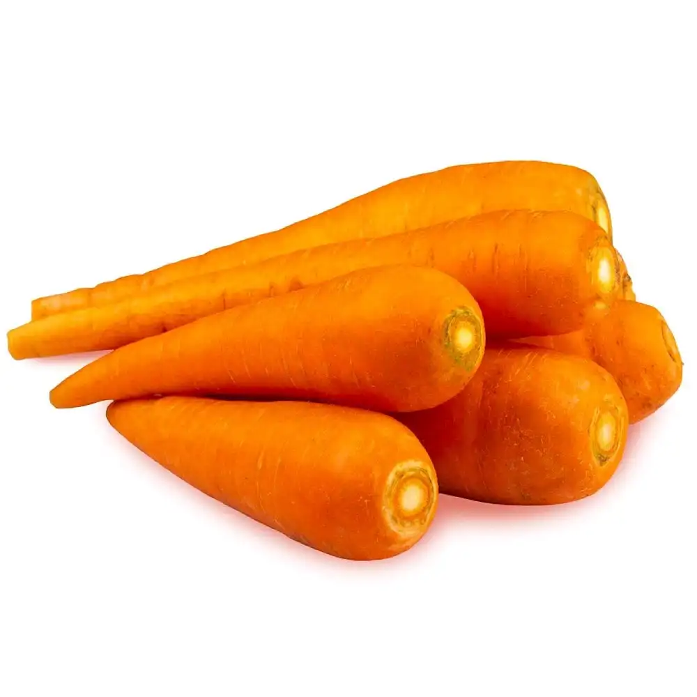 Vietnam Factory Organic Fresh Cheap Carrots Water Washed Carrot Exporter Best Price Carrots For Wholesale
