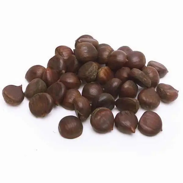 Wholesale Perfect Quality / 100% Natural Original Raw & dried Chestnuts
