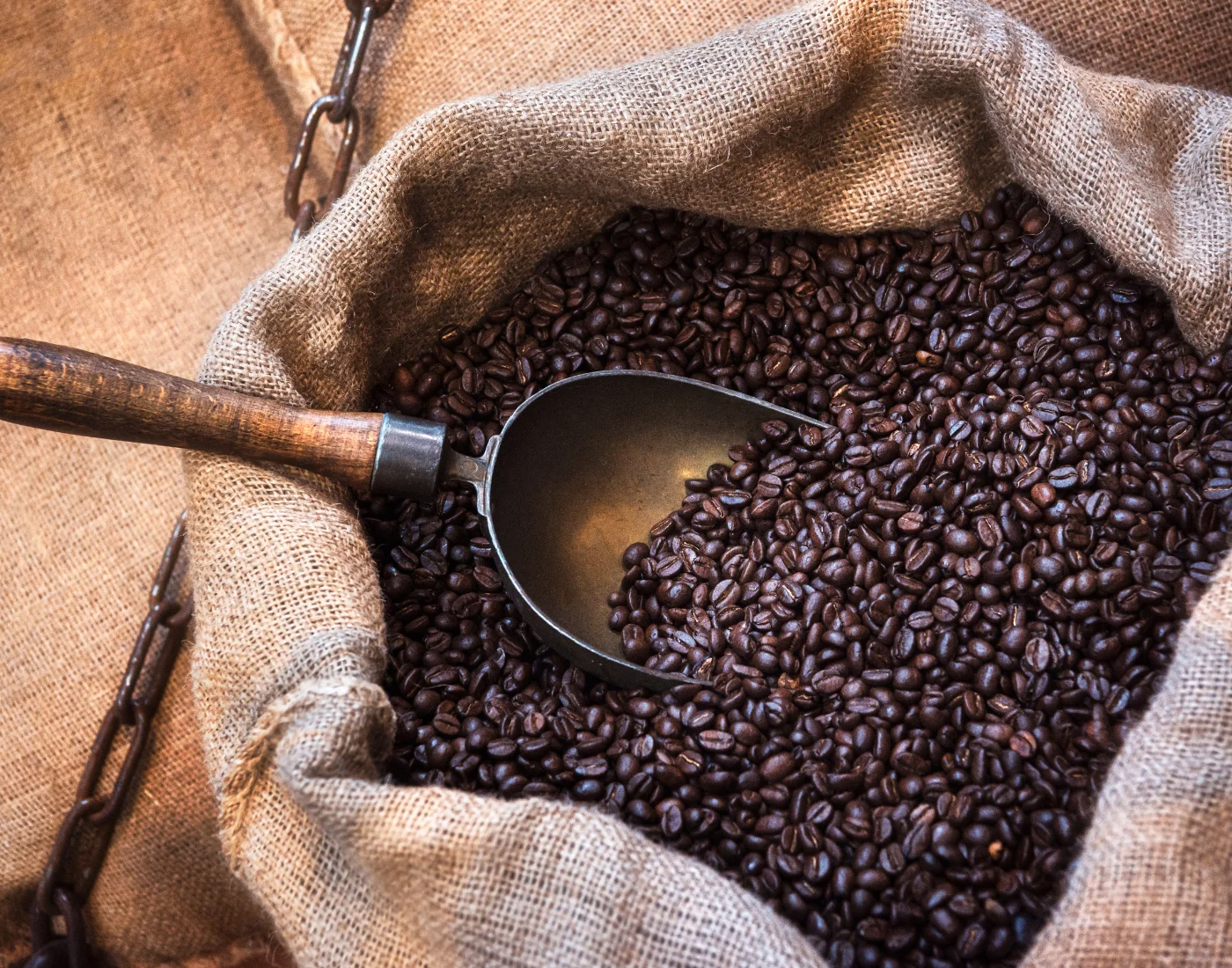 Best Price Coffee Beans Arabica Wholesale Jute 60kg/bag Delicious 100% Arabica Coffee Robusta Honey from Vietnam Manufacturer 16