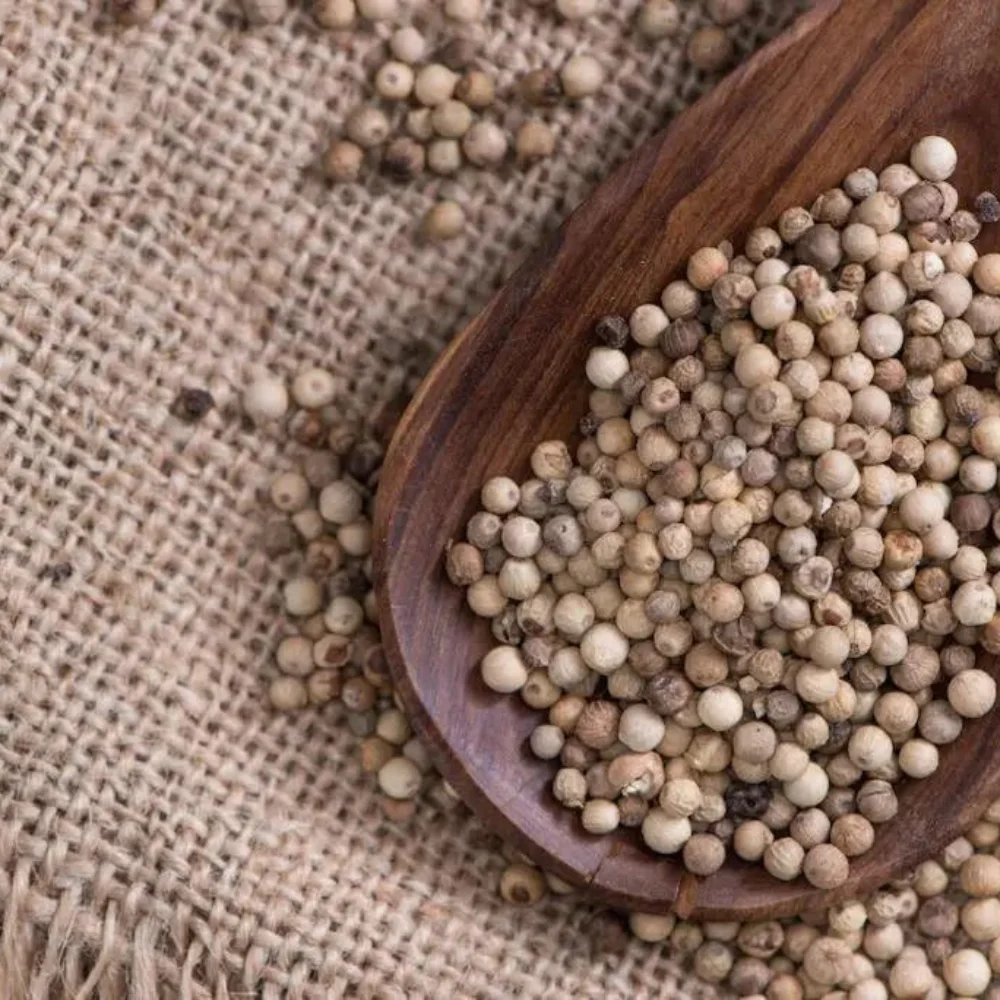 White pepper 630 G/L Double Washed single spice and herbs Vietnam manufacture original Seasonings