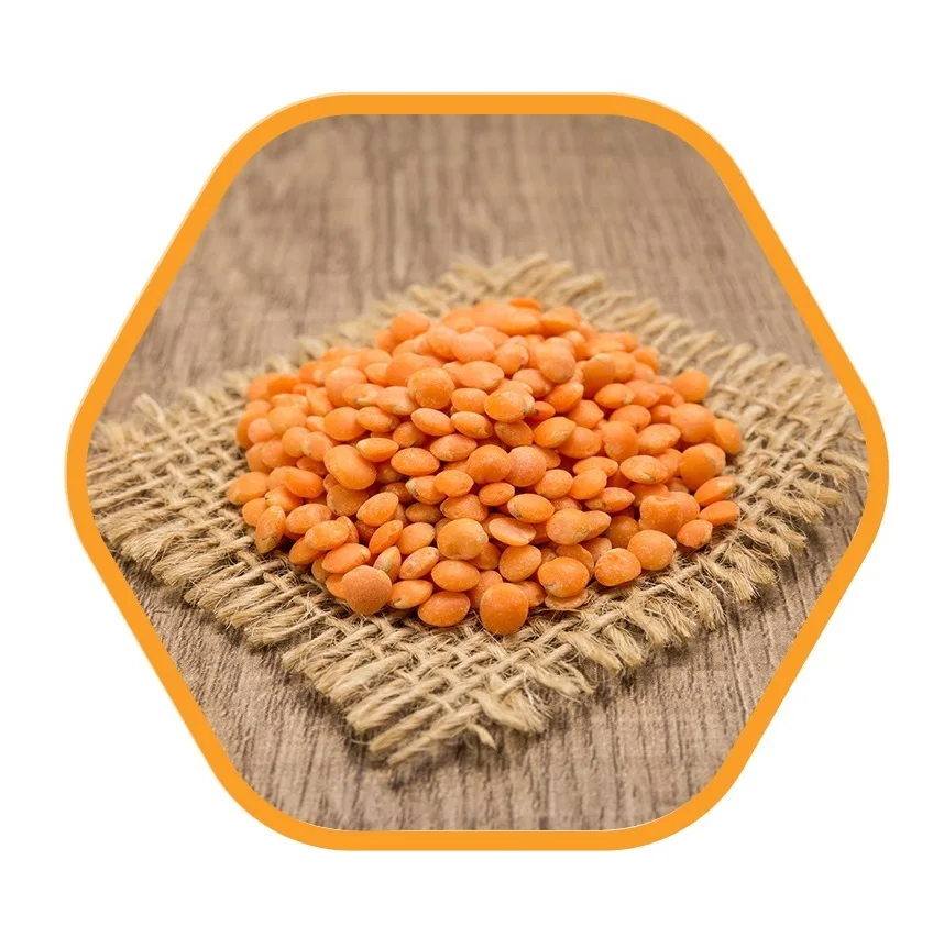 Organic Premium Grade Split Red Lentils Dried Chana Dal for Food Use Green Lentils Export Bulk