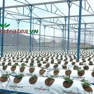Environmentally Cocopeat Growbag 28L  Good Price High Quality Low MOQ Hot Sell From Viet Nam Agriculture brand from Tuff Vietnam