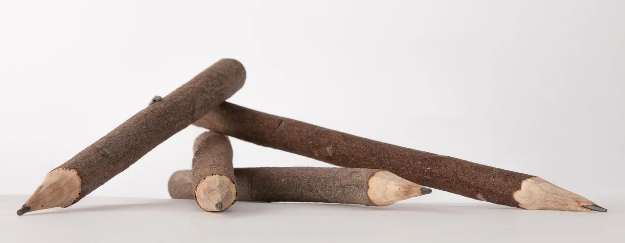 Rich Art and Craft Handmade eco Friendly Neem Tree Pencil Pencil for writing and sketching for school boys and girls