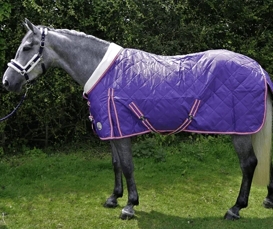 Soft Quality Nylon Lining Equipment Equine Breathable Stable Horse Turnout Blankets Rugs for Winter Most Comfortable for Horses