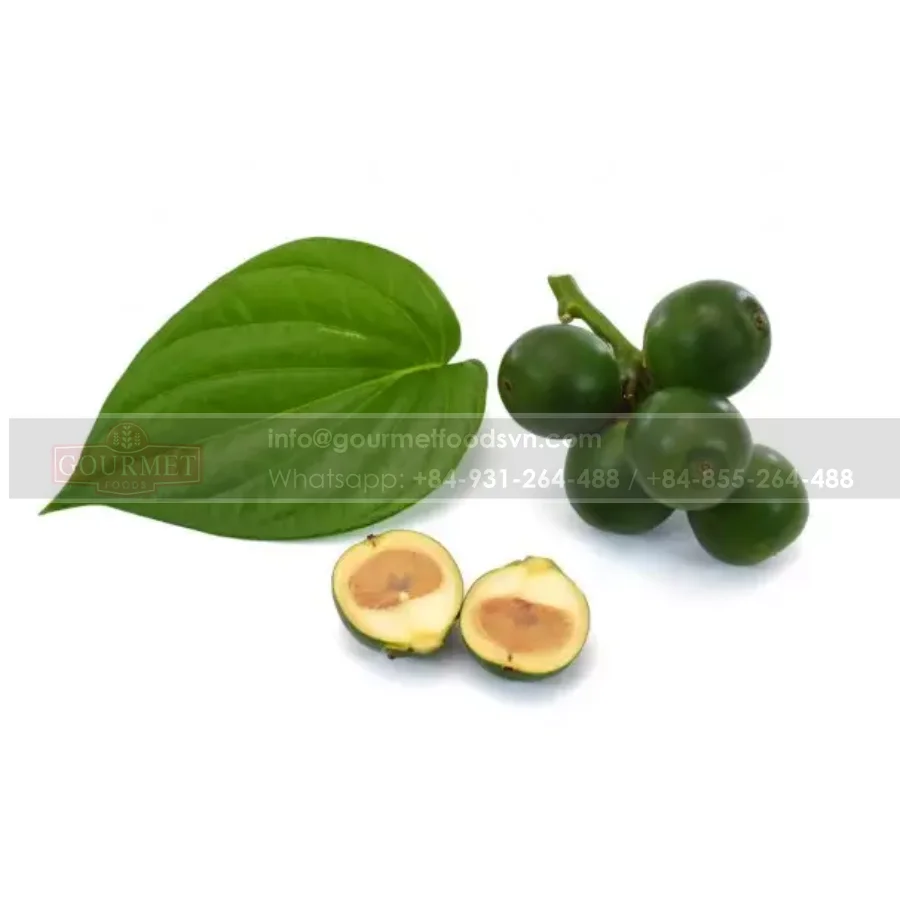 Оптовая продажа свежих орехов Betel из Вьетнама высокое качество Лидер продаж во вьетнаме по