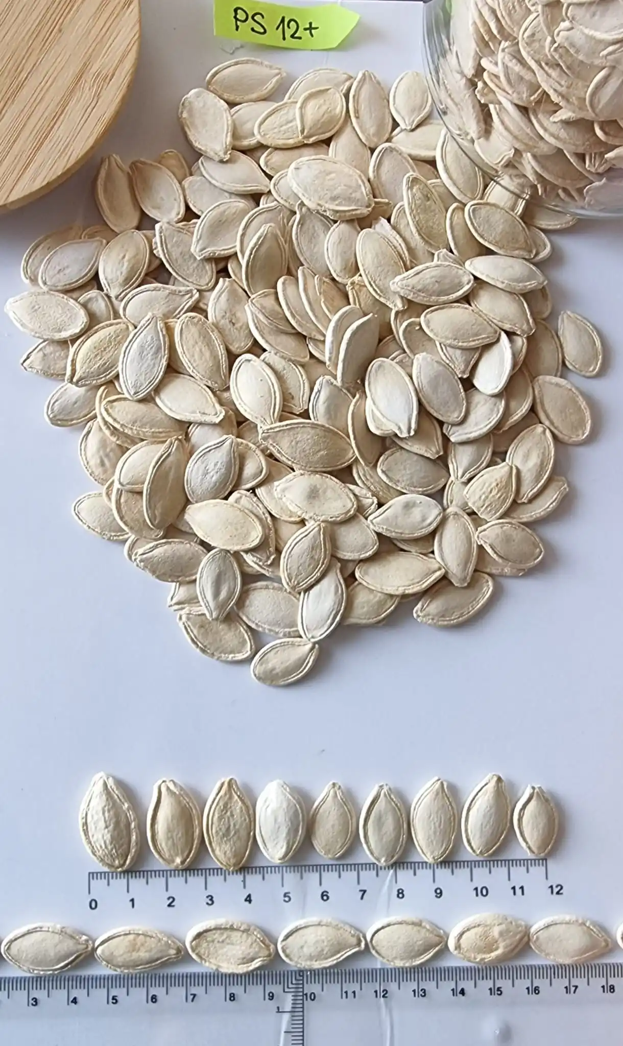 Pumpkin seeds Food & Beverage Snacks Nut & Kernel Snacks Healthy  Food Store Bulk Packaging Bulgarian Origin New Crop Best price