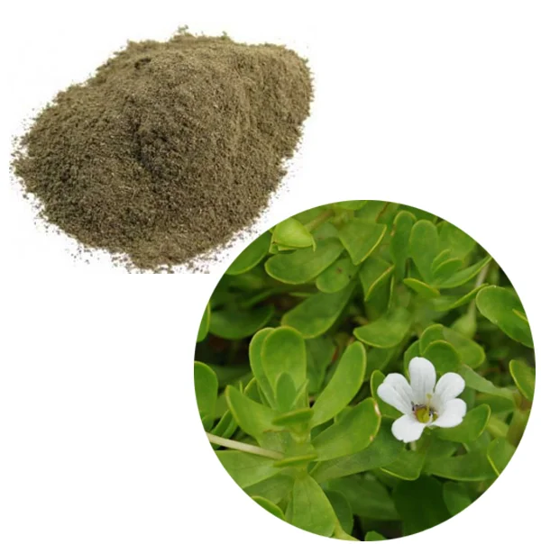 Buy Best Natural 100% Organic Herbal Real Triple Refined Indian Brahmi Leaves Powder