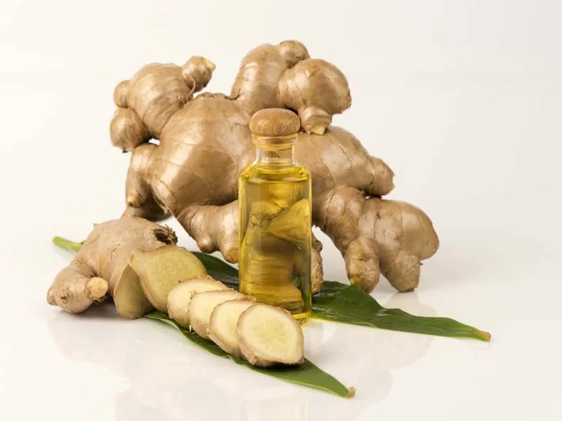 Best quality ginger oil