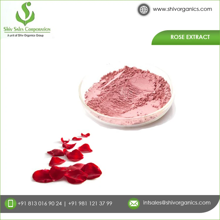 Widely Used Rose Leaf Powder Bulk Supply Solvent Extraction Type 100% Pure and Organic Rose Extract for Sale