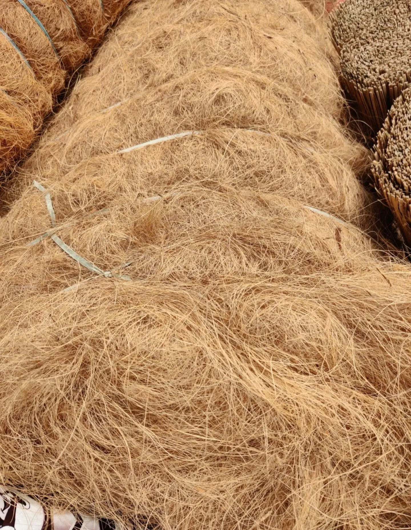 Hot Selling Organic Coconut Coirs Whitefibre The Outer Husks Of Coconut From Indian Coconut Industry Unbelivable Price Dealers