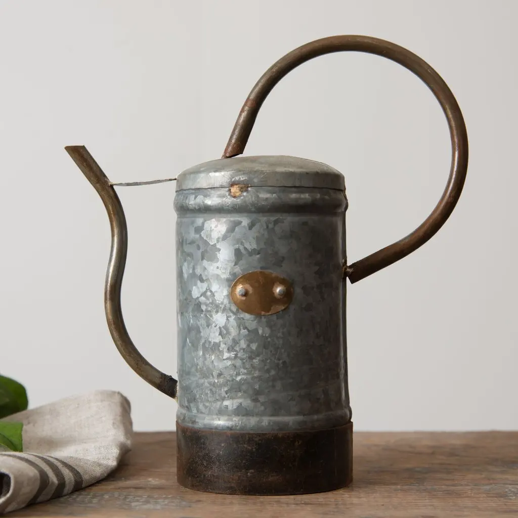 Metal Galvanized Mini Watering Can for Succulents Plants for Indoor and Outdoor water can garden