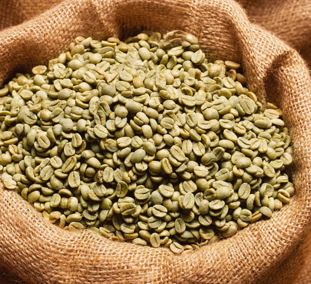 100% натуральный Арабика Robusta зеленый кофе в зернах онлайн Органический Сырой и жареный вьетнамский сладкий вкус бразильский производитель