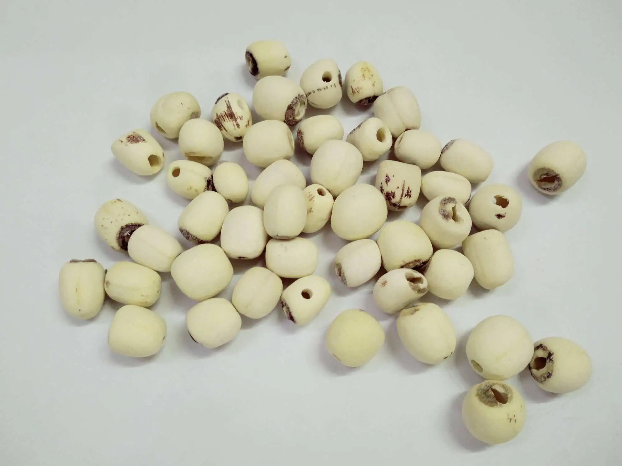 Premium Dried Lotus Seeds Bulk Packaging Available for International Markets and Food Manufacturers