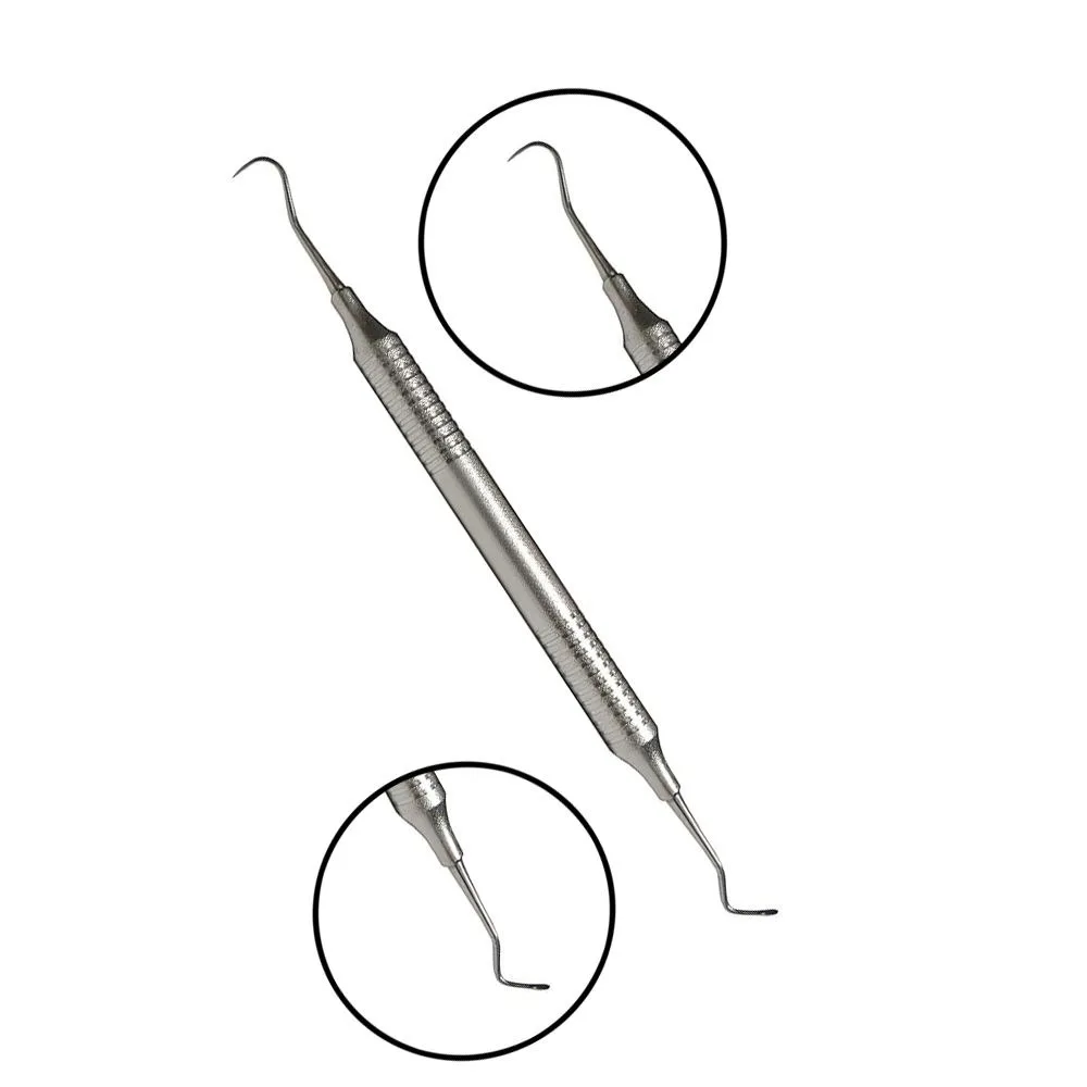 Wholesale Top Quality Dental Scaler Anterior 1 NVI/H5 New Finley Honed Finish Dentist Clinic Equipment