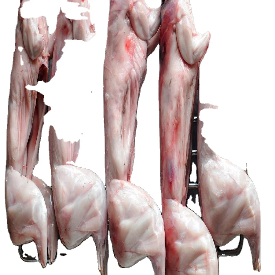 Fresh quality and well frozen Rabbit Meat Skinless For Sale