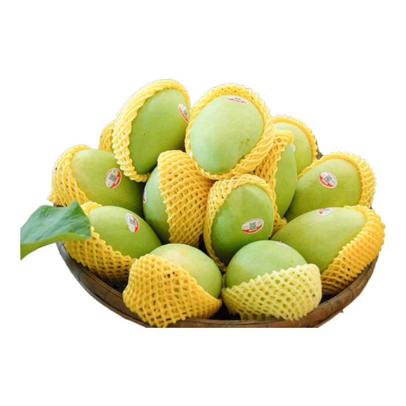 Premium Fresh Mango product
