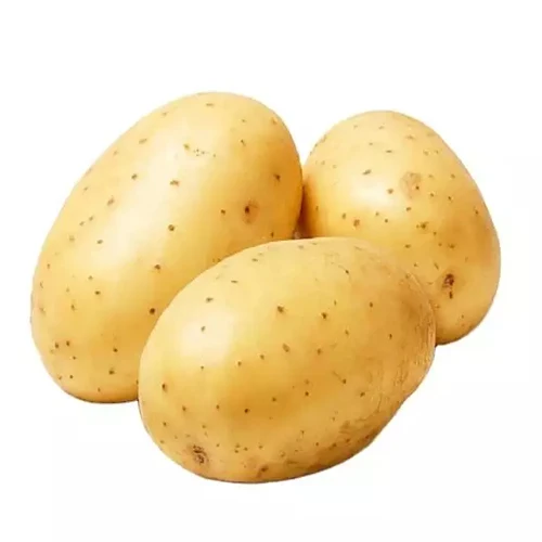 New crop of fresh potatoes for Export to the world high quality sweet potato low price top grade products