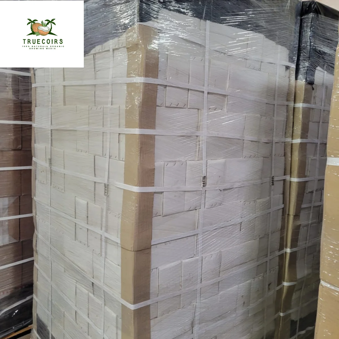 Bio Blooms Gardening Coir Pith 650 g Coco Peat Brick for Agriculture and Planting Use at Wholesale Prices