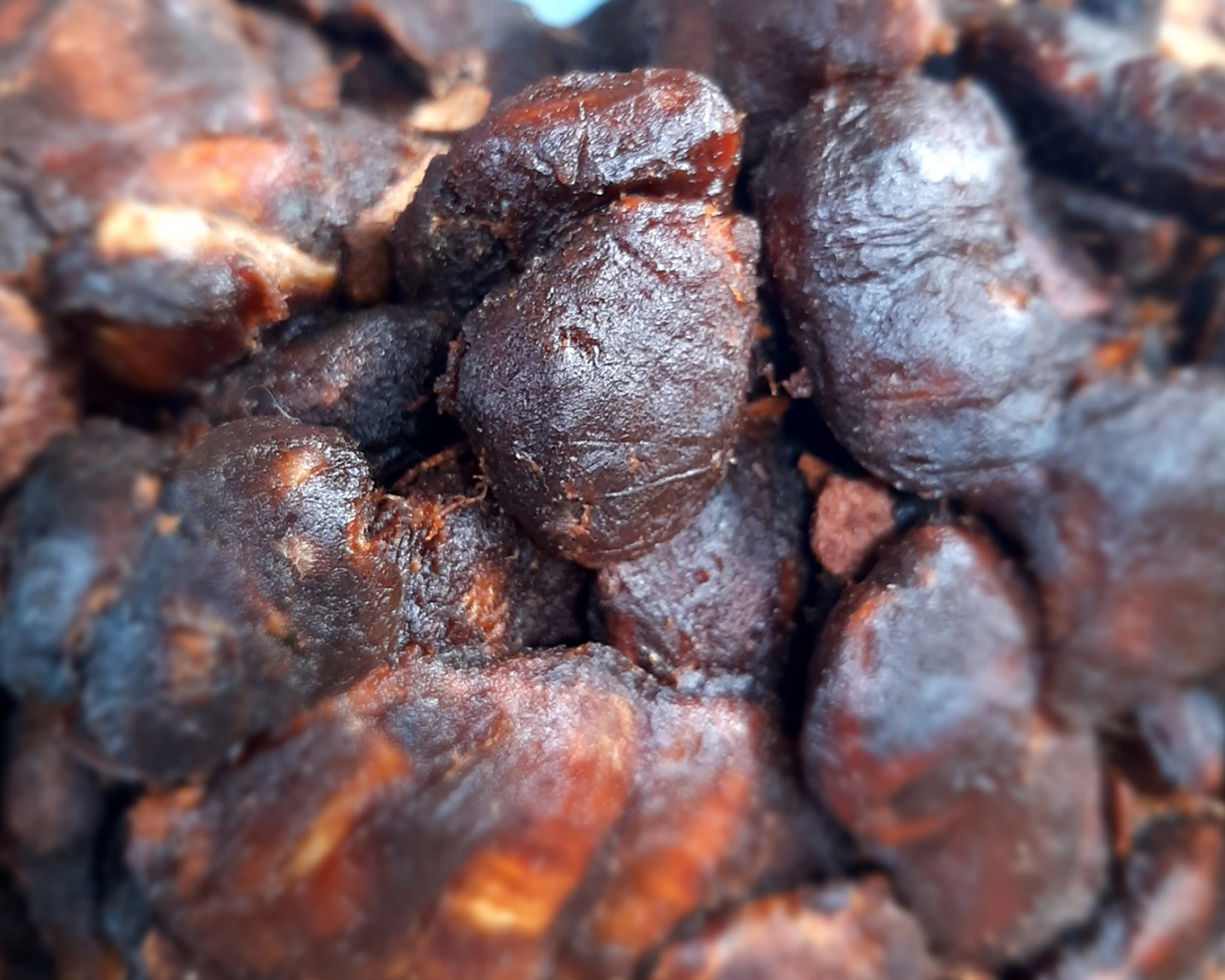 High Quality Tamarind with Seed from Myanmar