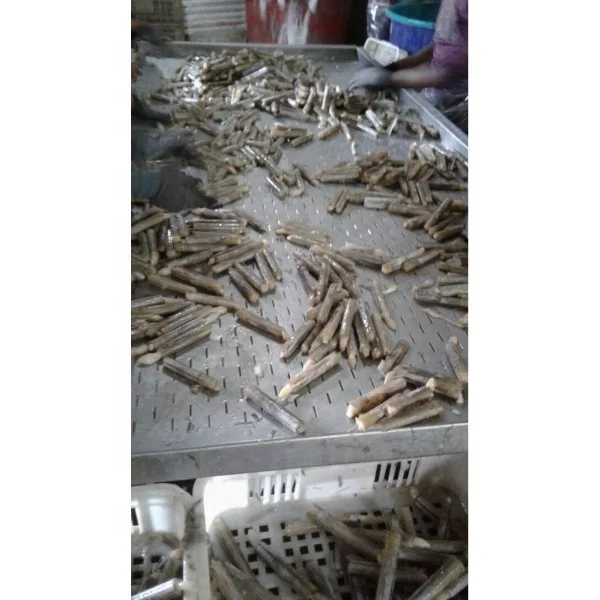 Frozen Razor Clam available for sell