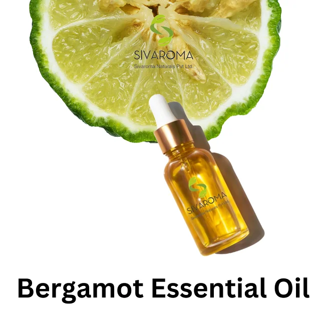 Trusted Manufacturer of India Marketed Best Quality Essential Oil BERGAMOT OIL for Aromatic Aromatherapy of Human Body