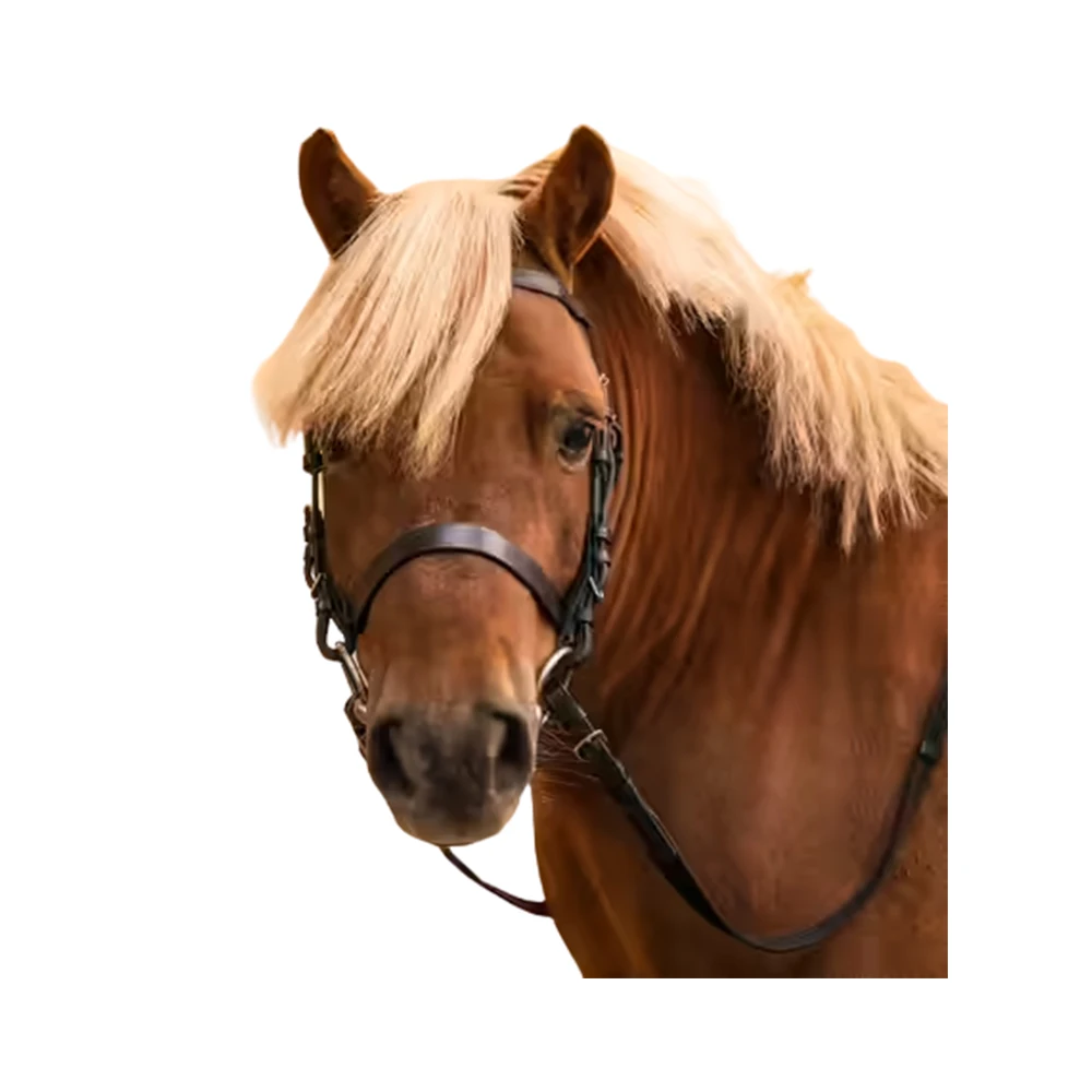 New Arrival Latest Design Horse Training Walking Reins At Best Quality From Indian Manufacture Also Bridle in Leather or PVC