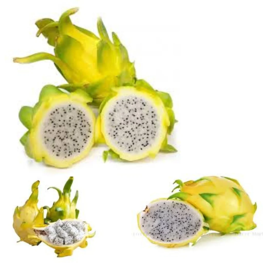 Hot Item Of Dragon Fresh Fruit Tropical Fruit Dried Dragon Fruit Frozen Pitaya Organic from VietNam Manufacture