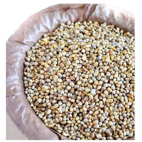 dried  Pearl Millet 4.jpg
