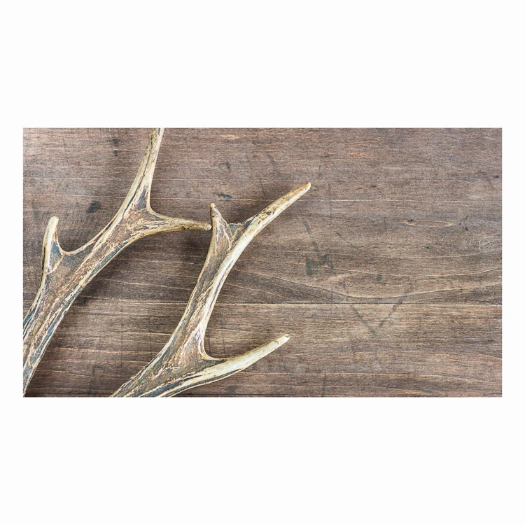 Natural Whole Red Deer Antlers