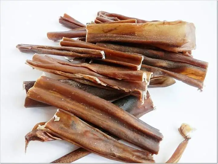100% Dried Beef Pizzle Stick Dog Chew Pet Treats Dog Food Dry Pet Food Manufacture Best Quality