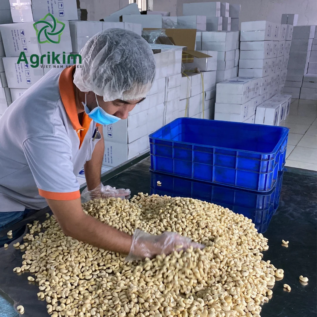Cleaned Cashew Nuts Split Cashew Kernels Carefully Selected Superior Quality From Vietnam Bulk Price Free Sample +84 359313086