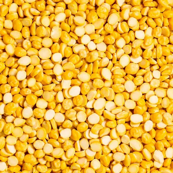 Hot Sale Lentils Beans with Low Price of daal channa Lentils supplier from pakistan
