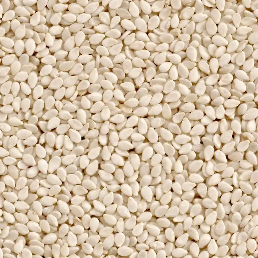 Best Price Pure Natural Dried White Fresh Quality Agriculture Product for Sale Sesame Seed Bulk Buy Natural Sesame Seed