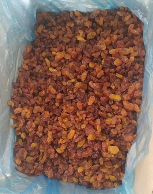 Wholesale Natural Organic Top Grade Brown Raisins Bulk Dried Raisins Dried Fruit From Uzbekistan