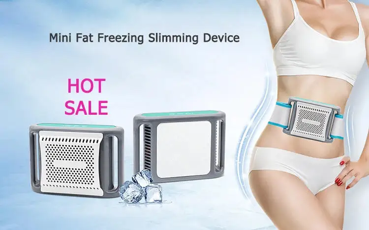 OEM New Second Generation Mini Portable Electric Cryotherapy Home Use Slimming Machine For Fat Lose