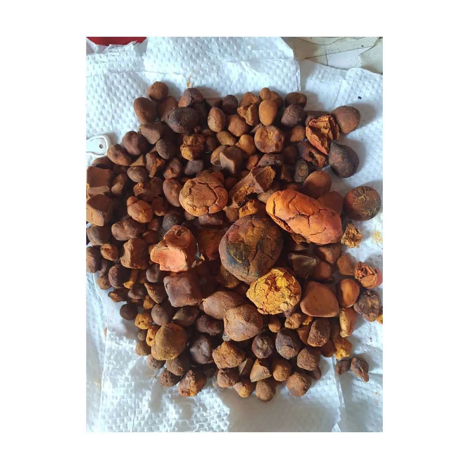 Natural and Pure top Quality Ox Gallstones Cattle Gallstones Cow Gallstones Buy Cow Gall Stones for sale