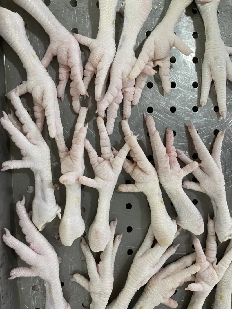 Freshly Processed Frozen Chicken Feet and Paw