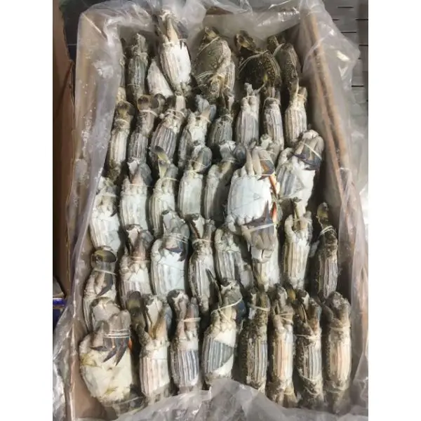 Frozen Blue Swimming Crab New Factory Frozen Stock Ready For Shipment