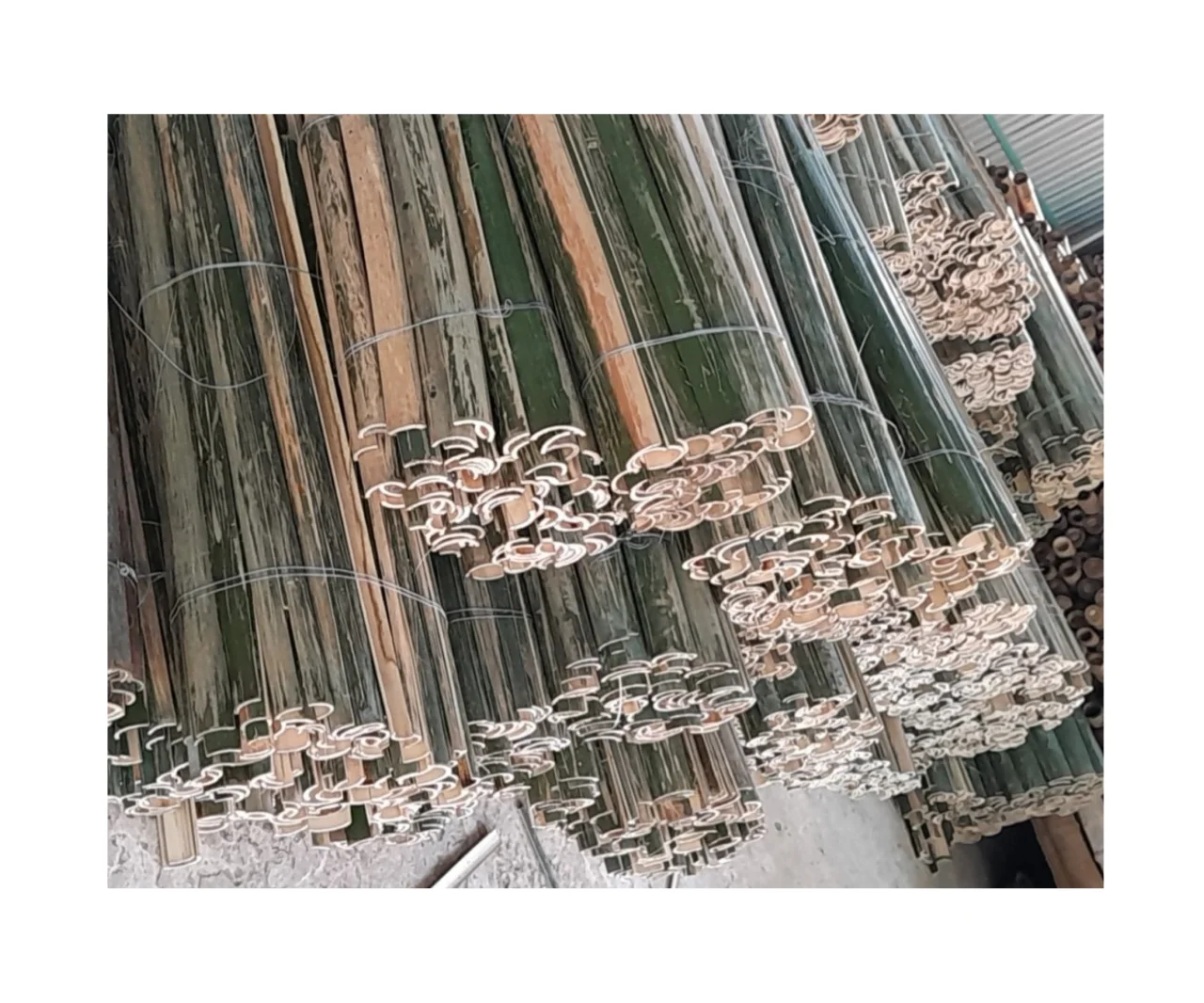 Разделенный бамбук высокого качества из Вьетнама/разделенное бамбуковое сырье зеленый/желтый хорошая цена