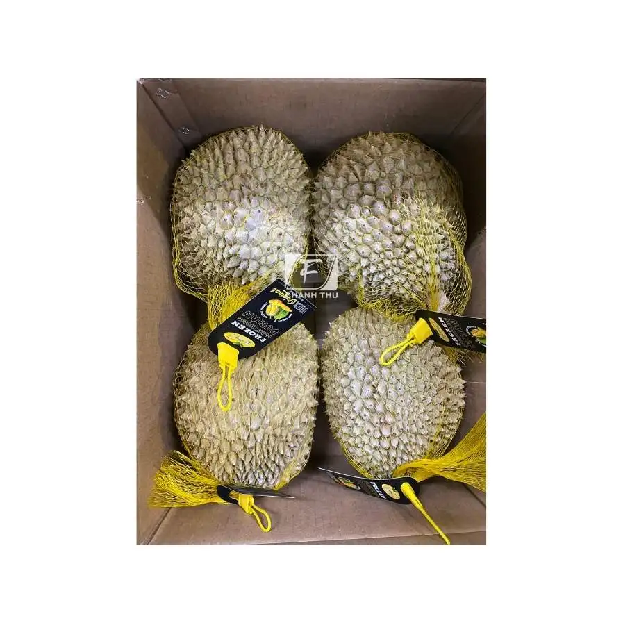 Monthong/ri6 Variety Frozen Durian Frozen Durian Best Export From Vietnam  24 months Shell Life Sweet Taste Year Round Season