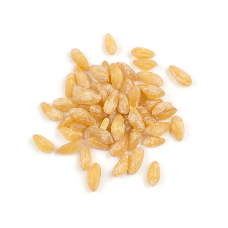 High Quality Organic Soft Wheat Grains in bulk Quantities / Natural wheat Grains