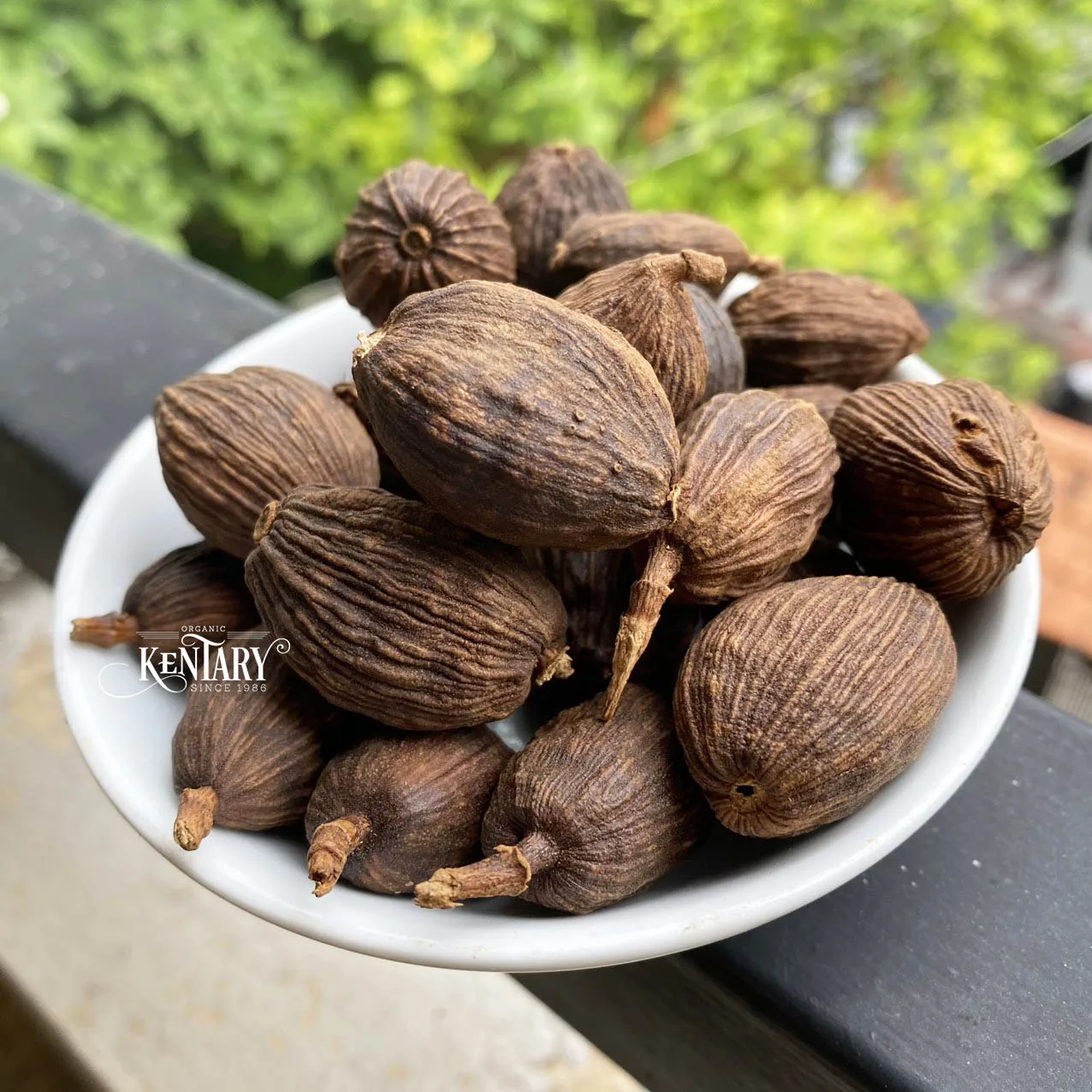 Wholesale Strong Flavor Black Cardamon Hight Quality Spices Best Price Factory in Vietnam 100% Pure non GMO