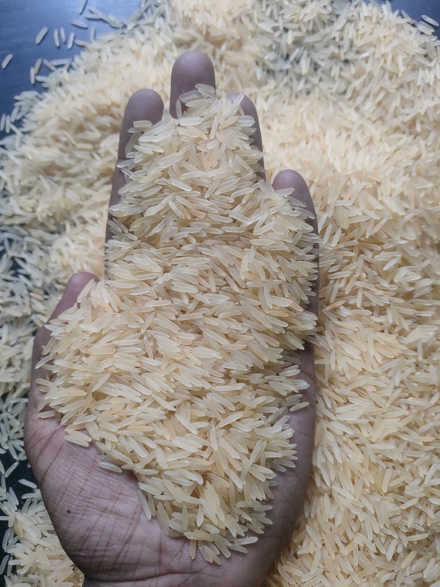 Quality Basmati Rice from Thailand/ Wholesale White Long Grain Rice, 5%-25% Broken in Bulk with Cheap Price