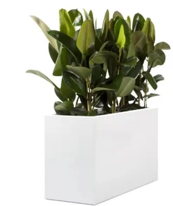 Modern Square Fiberglass Floor-Standing Vase PC1247-17079 Rectangle Planter Shopping Mall Hotel Beautiful Soft Flower Pot
