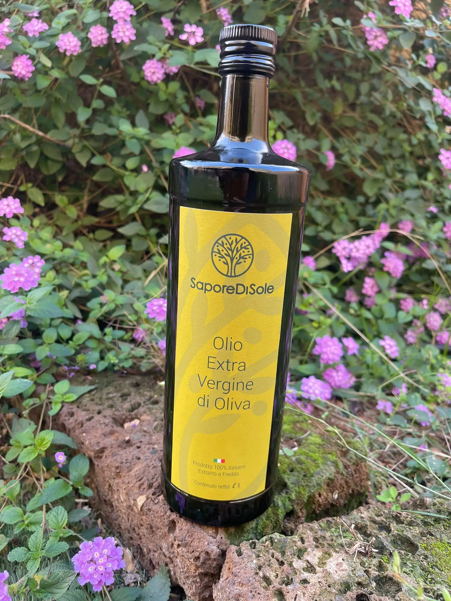 Extra Virgin Olive Oil Cold Pressed and Refined in 500ml Glass Bottle for Seasonal Use and Cooking