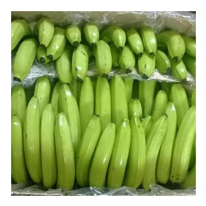 Banana / Cavendish Banana Wholesale In Bulk From Thailand (10000008800369)