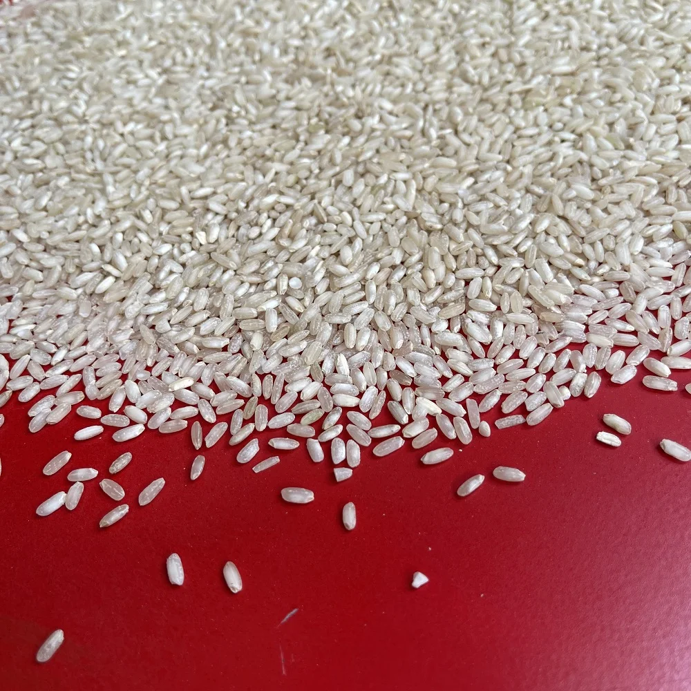 RICE WHOLESALE PRICE PACKING CULTIVATION JASMINE EXPORT 25KG 50KG FEATURE QUALITY BROWN RICE MEDIUM GRAIN VIETNAM