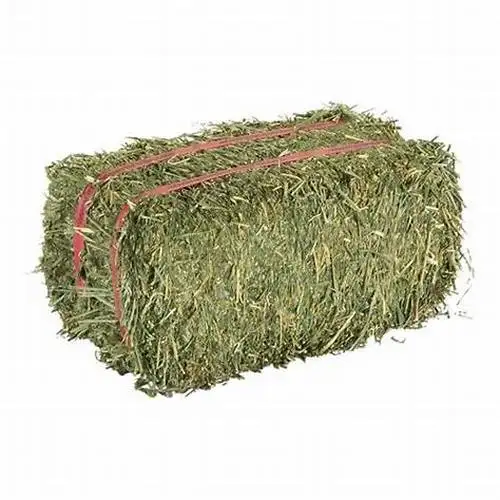 Оптовая продажа, сено люцерны для корма крупного рогатого скота и лошадей, сушеная Белковая Рыбная мука в тюках